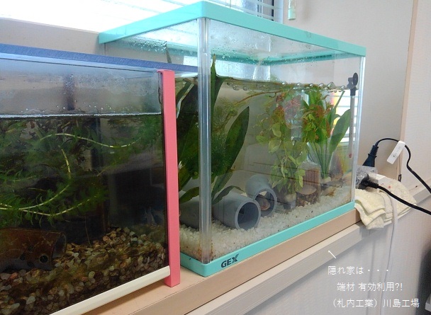 会社紹介６